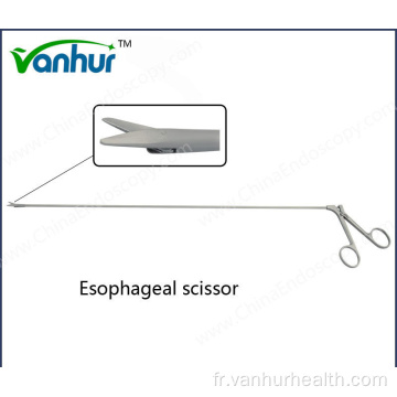 Instruments chirurgicaux Oesophagoscopie Ciseaux œsophagiens